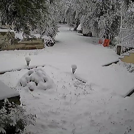 Belian 3 Argalasztí